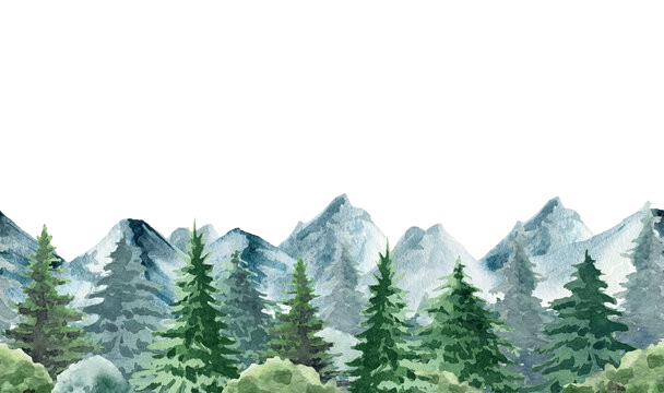 backdrop
